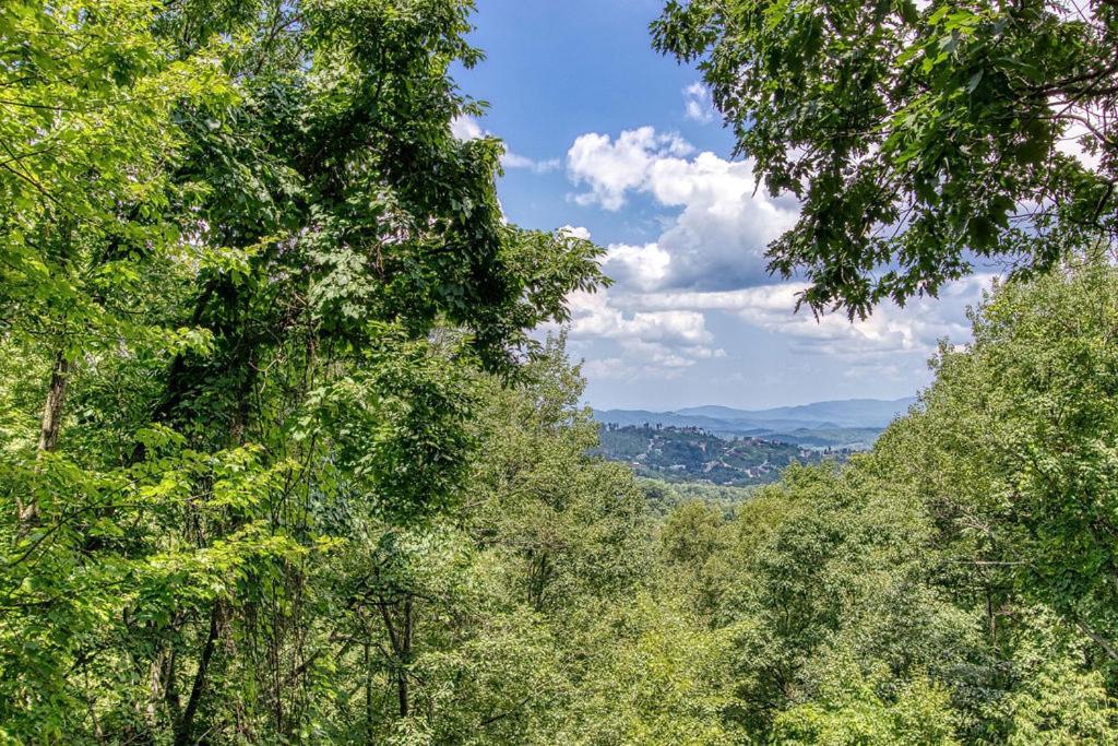 Serenity Heights, Amazing Views, Hot Tub Pool Access, 1089 Free Tickets Each Paid Day, Dollywood Гетлинбург Екстериор снимка