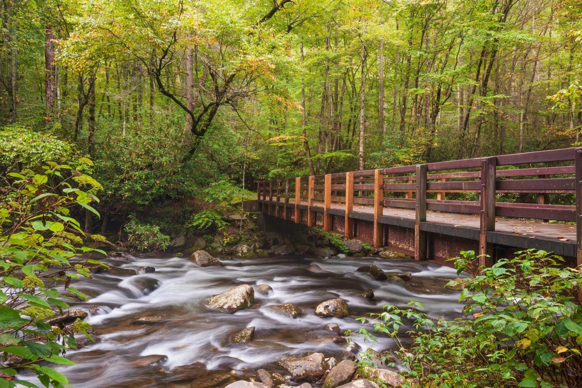 Serenity Heights, Amazing Views, Hot Tub Pool Access, 1089 Free Tickets Each Paid Day, Dollywood Гетлинбург Екстериор снимка
